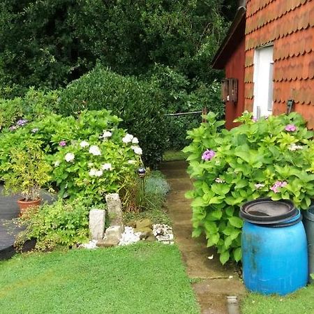 Ferienwohnung Im Waldwinkel شتاتهاغن المظهر الخارجي الصورة